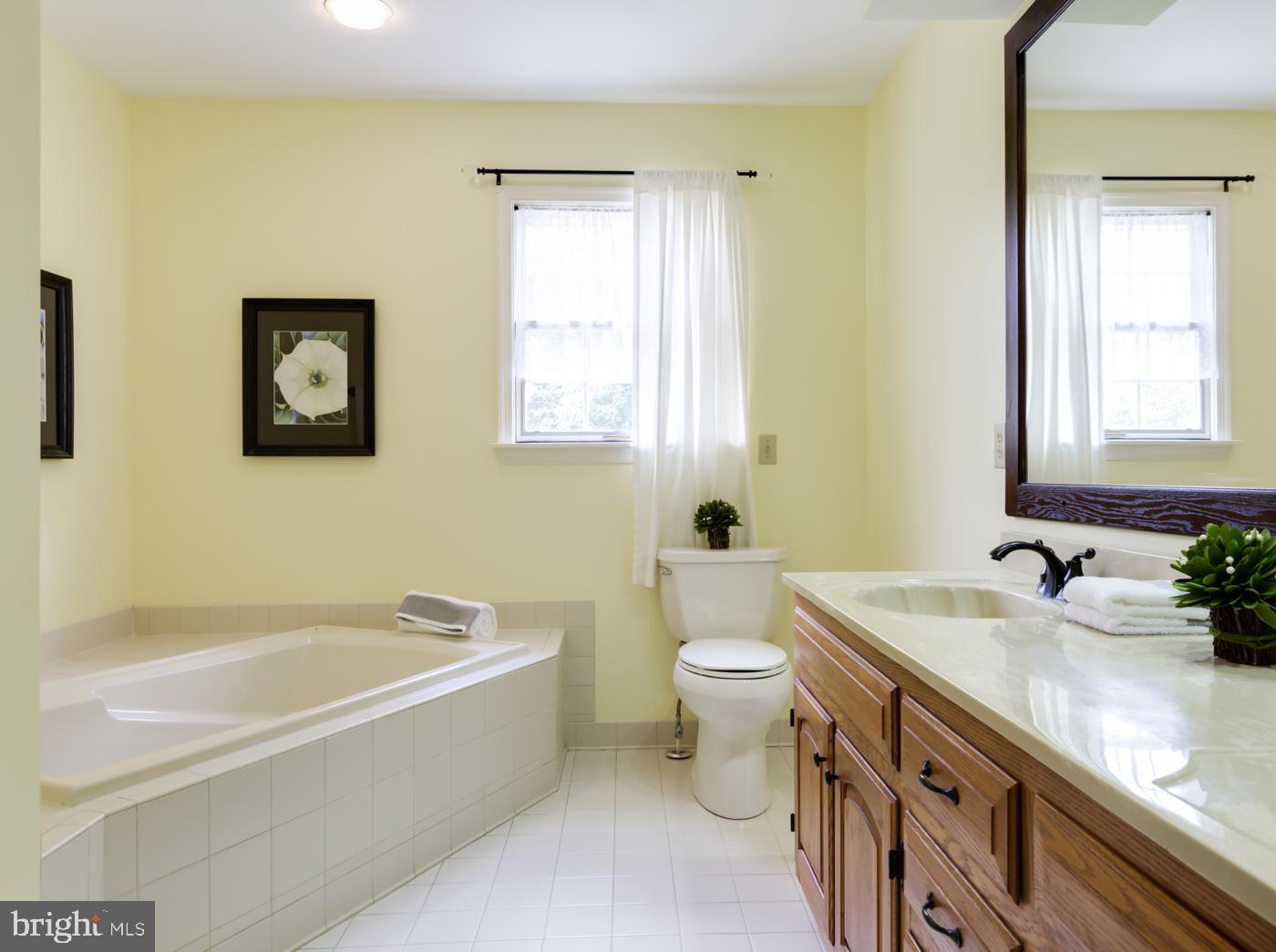 620 Ridge Road Salisbury, MD 21801 - Photo 32 of 53 Soaking Tub