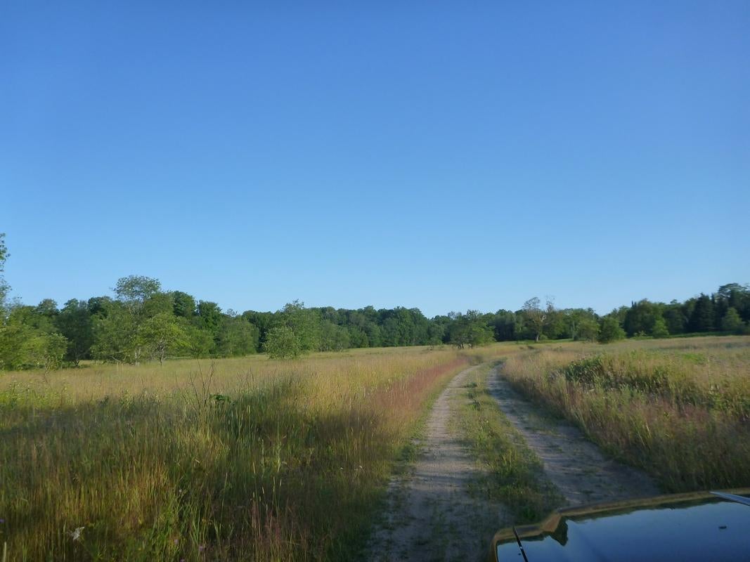 Oooo Oooo Ford Lake Road Germfask, MI 49836 - Photo 7 of 10 Gallery Image 7