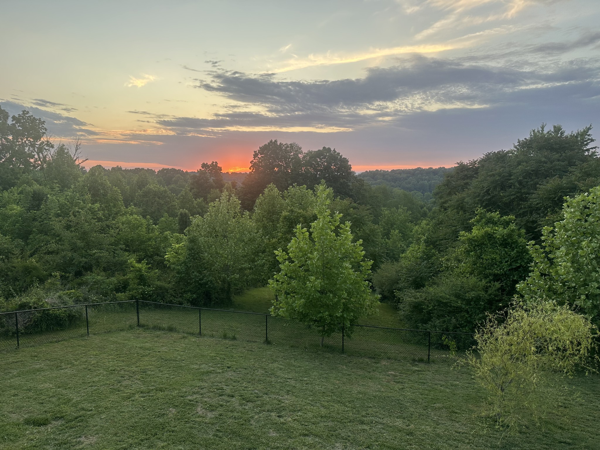 329 Murrell Road Dickson, TN 37055 - Photo 47 of 47