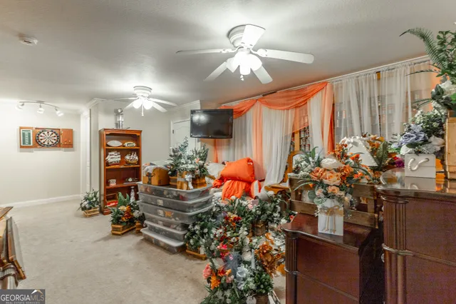 a view of a big yard with plants and large trees