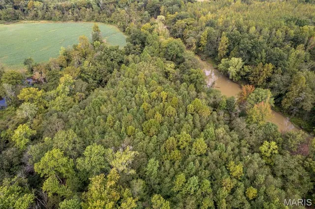 $95,000 | 0 Bcr 616, Zalma, MO 63787