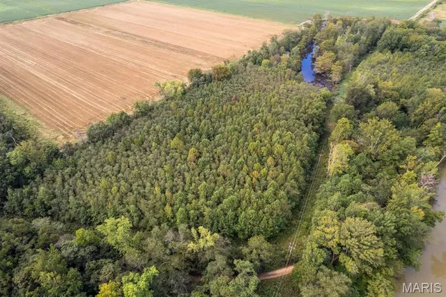 $95,000 | 0 Bcr 616, Zalma, MO 63787