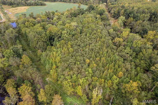 $95,000 | 0 Bcr 616, Zalma, MO 63787