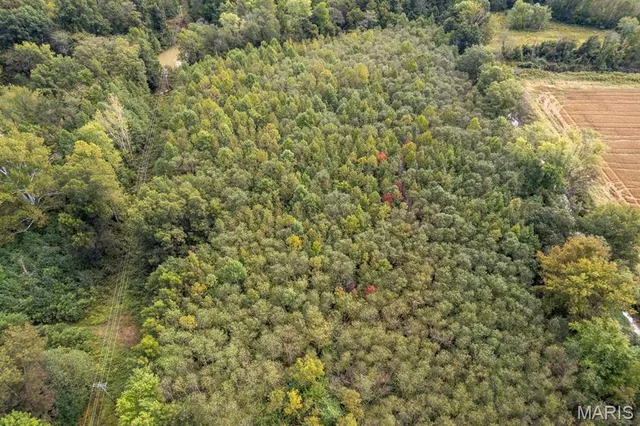 $95,000 | 0 Bcr 616, Zalma, MO 63787