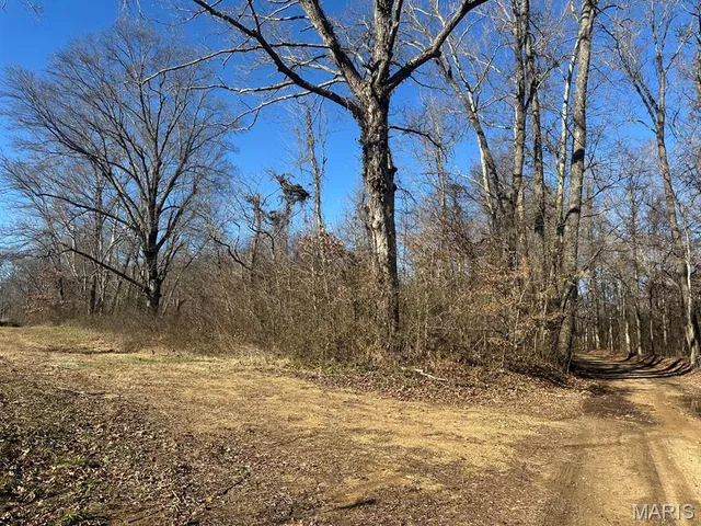 $95,000 | 0 Bcr 616, Zalma, MO 63787