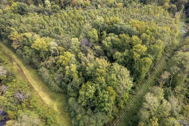 $95,000 | 0 Bcr 616, Zalma, MO 63787