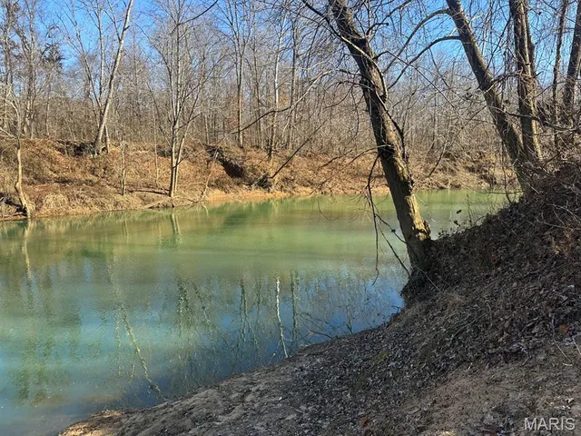 $95,000 | 0 Bcr 616, Zalma, MO 63787