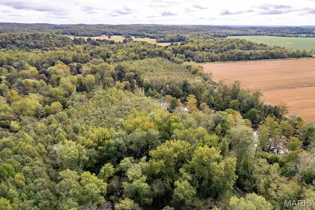 $95,000 | 0 Bcr 616, Zalma, MO 63787