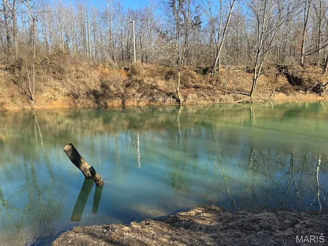 $95,000 | 0 Bcr 616, Zalma, MO 63787