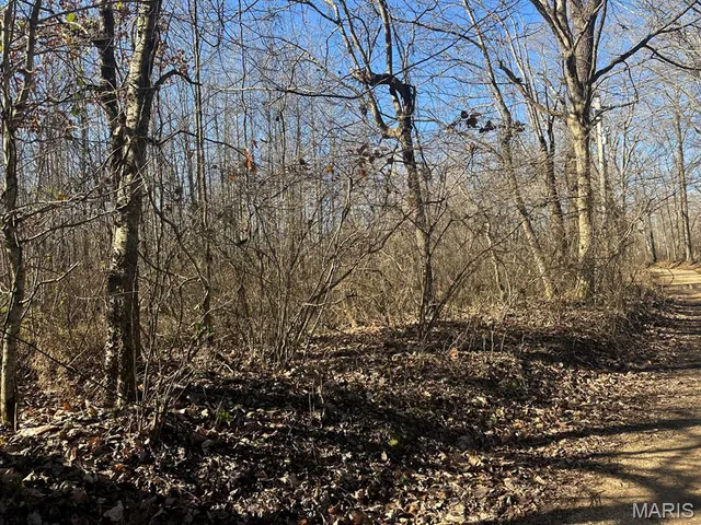 $95,000 | 0 Bcr 616, Zalma, MO 63787