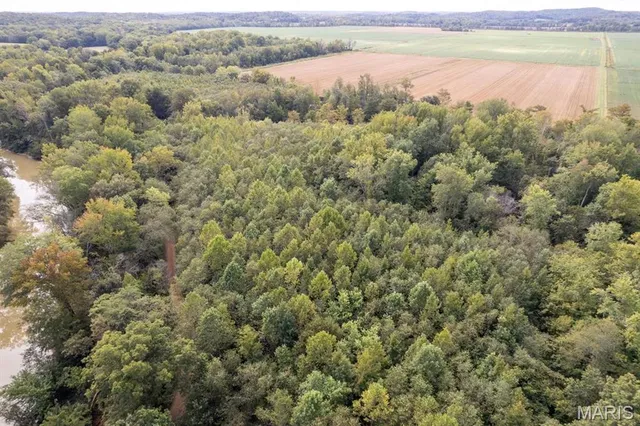 $95,000 | 0 Bcr 616, Zalma, MO 63787