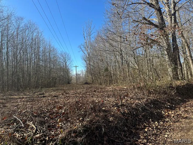 $95,000 | 0 Bcr 616, Zalma, MO 63787