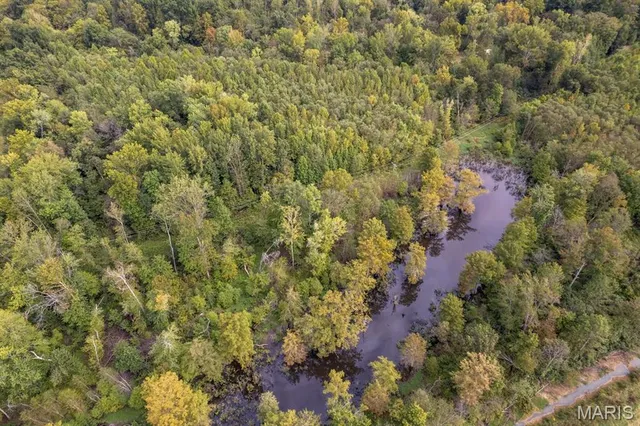 $95,000 | 0 Bcr 616, Zalma, MO 63787