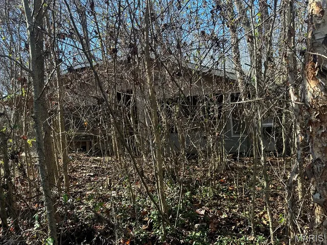 $95,000 | 0 Bcr 616, Zalma, MO 63787