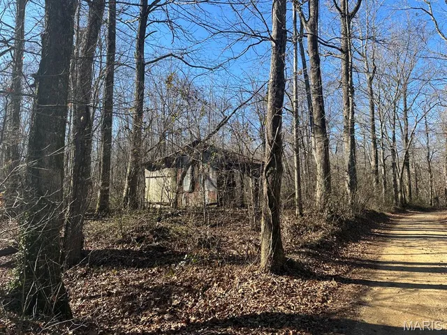 $95,000 | 0 Bcr 616, Zalma, MO 63787