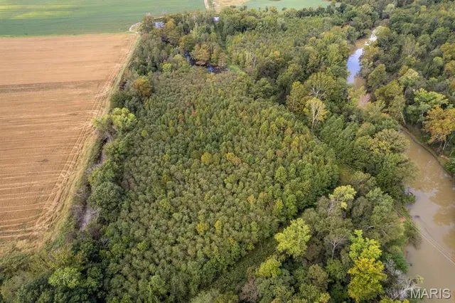 $95,000 | 0 Bcr 616, Zalma, MO 63787