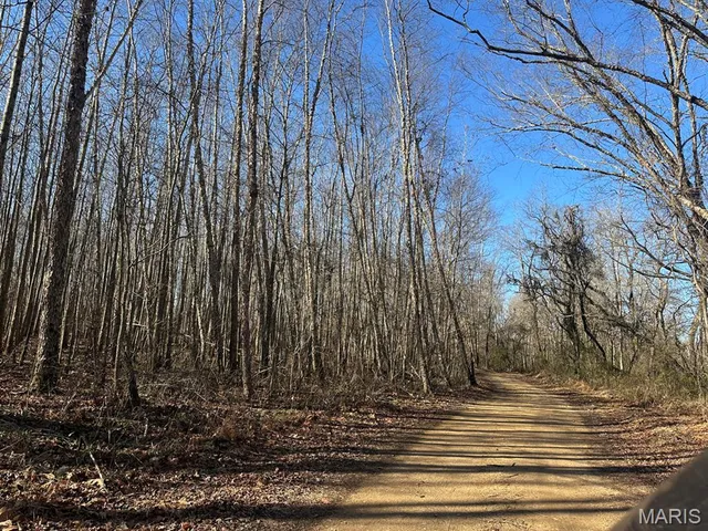 $95,000 | 0 Bcr 616, Zalma, MO 63787