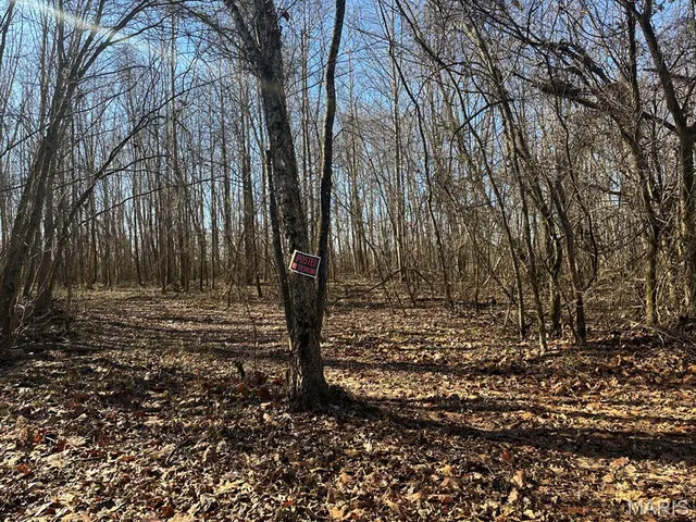 $95,000 | 0 Bcr 616, Zalma, MO 63787