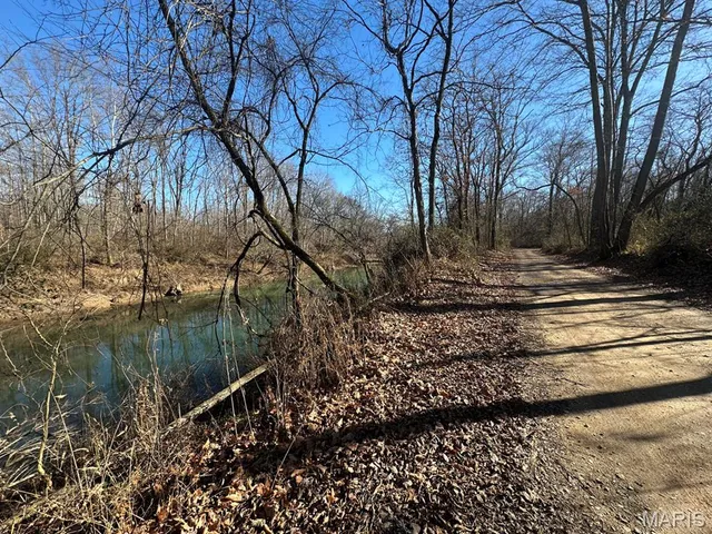 $95,000 | 0 Bcr 616, Zalma, MO 63787