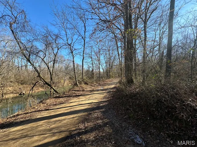 $95,000 | 0 Bcr 616, Zalma, MO 63787