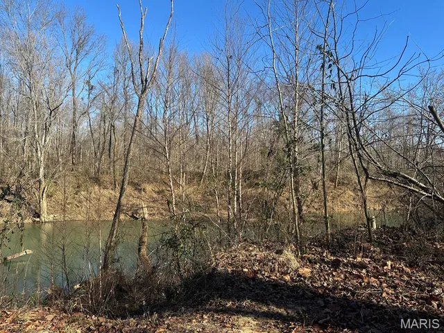 $95,000 | 0 Bcr 616, Zalma, MO 63787