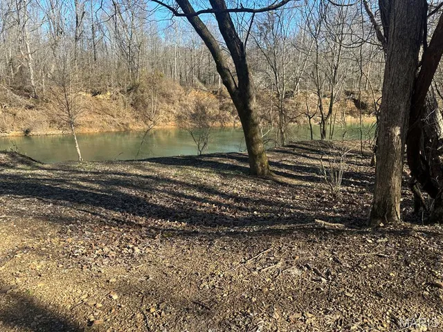 $95,000 | 0 Bcr 616, Zalma, MO 63787