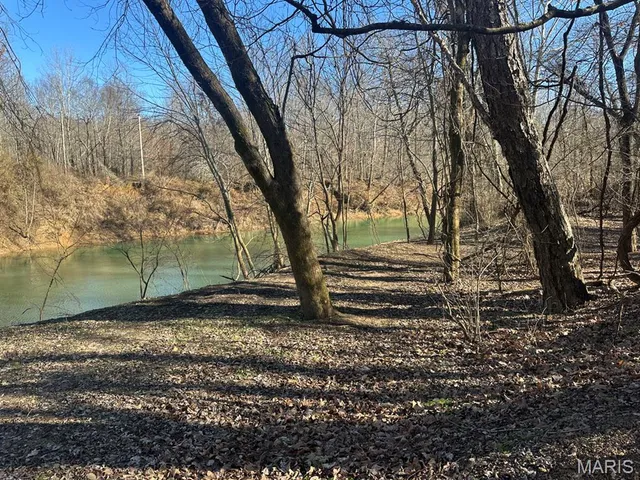 $95,000 | 0 Bcr 616, Zalma, MO 63787