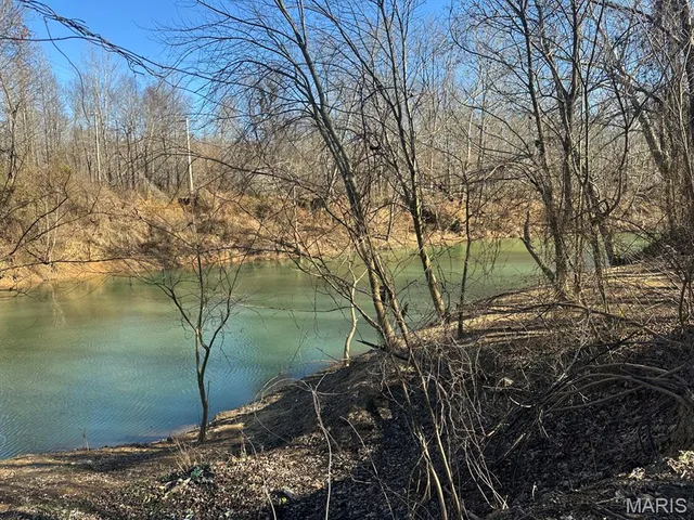 $95,000 | 0 Bcr 616, Zalma, MO 63787