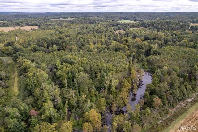 $95,000 | 0 Bcr 616, Zalma, MO 63787