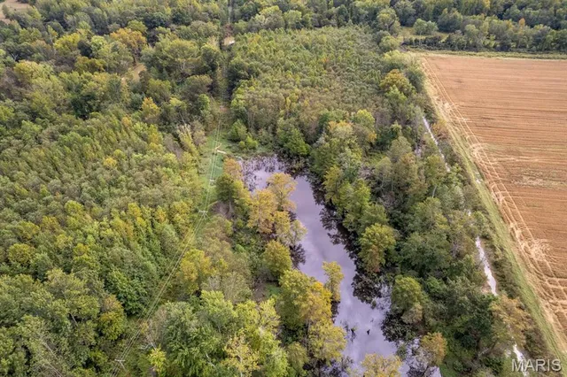 $95,000 | 0 Bcr 616, Zalma, MO 63787