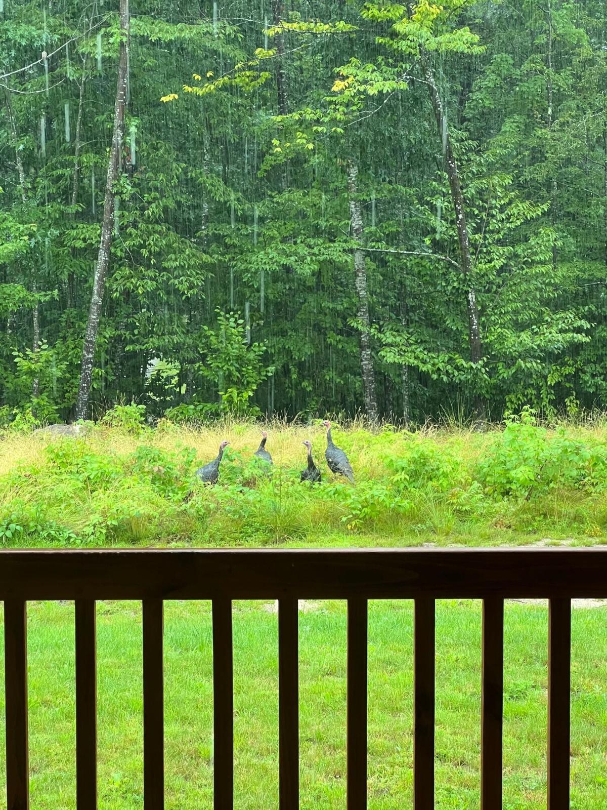 60 North Road Limington, ME 04049 - Photo 32 of 35 27
