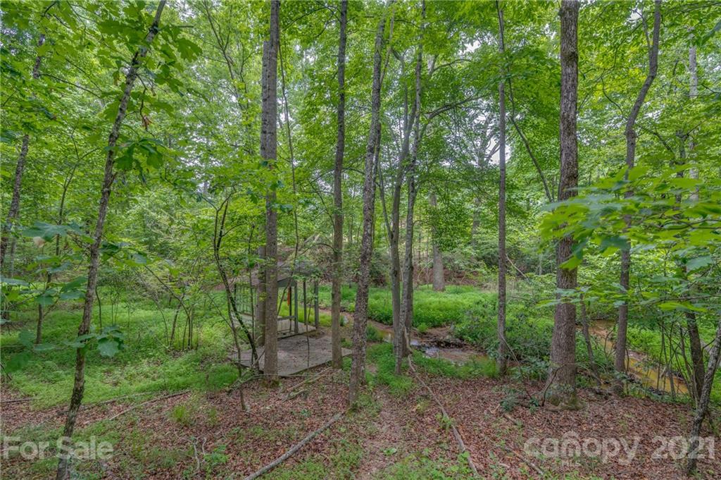 318 Springbrook Drive Tryon, NC 28782 - Photo 41 of 47 Gallery Image 41