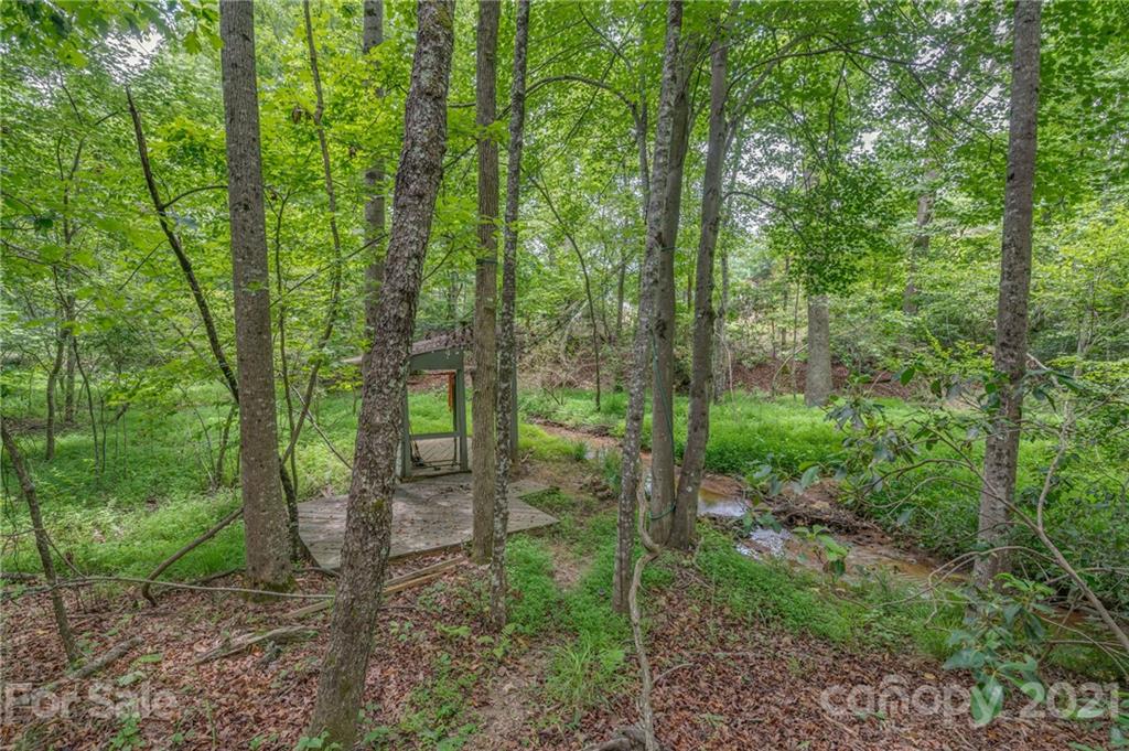 318 Springbrook Drive Tryon, NC 28782 - Photo 42 of 47 Gallery Image 42