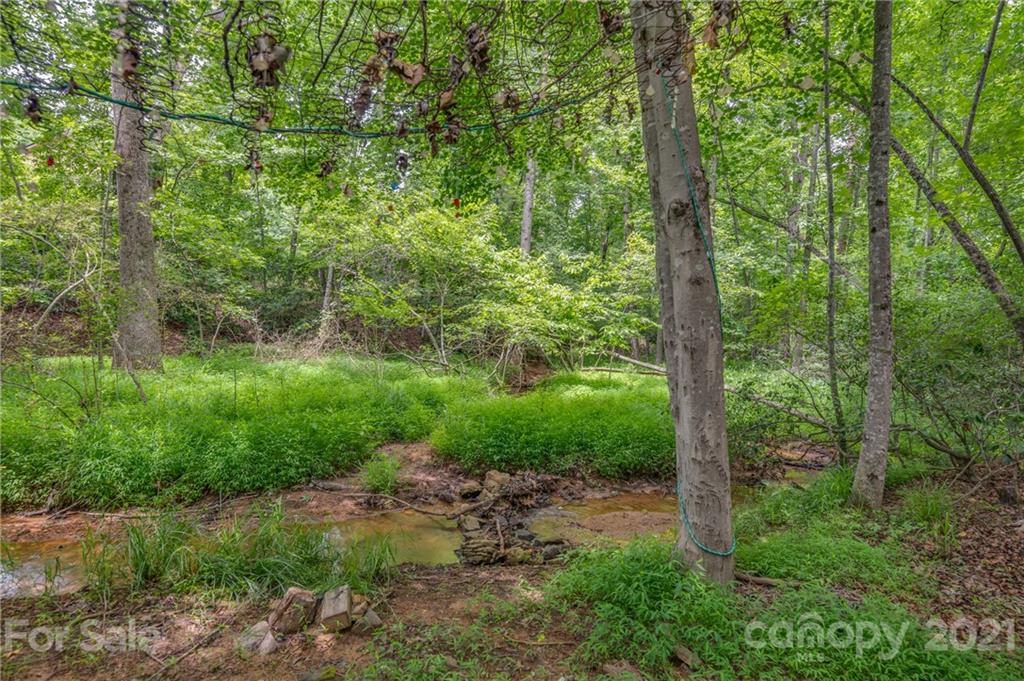 318 Springbrook Drive Tryon, NC 28782 - Photo 44 of 47 Gallery Image 44