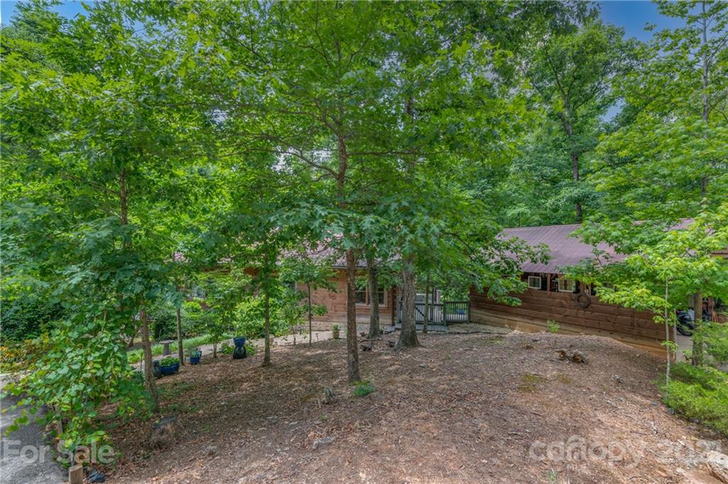 318 Springbrook Drive Tryon, NC 28782 - Photo 45 of 47 Gallery Image 45