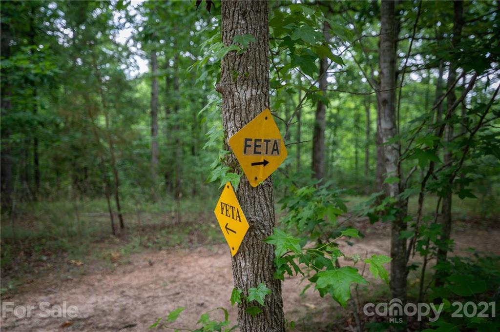 318 Springbrook Drive Tryon, NC 28782 - Photo 47 of 47 Gallery Image 47