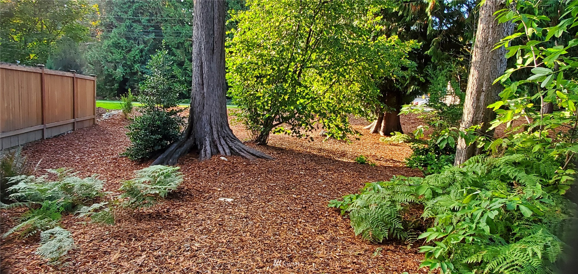 15927 35th Avenue Southeast Bothell, WA 98012 - Photo 5 of 35 a view of a yard with plants and wooden fence
