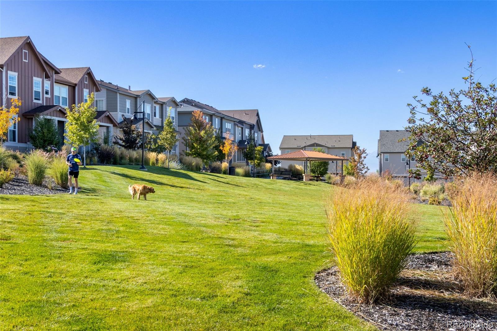 306 Rodden Drive Erie, CO 80516 - Photo 31 of 49 a view of a house with a swimming pool