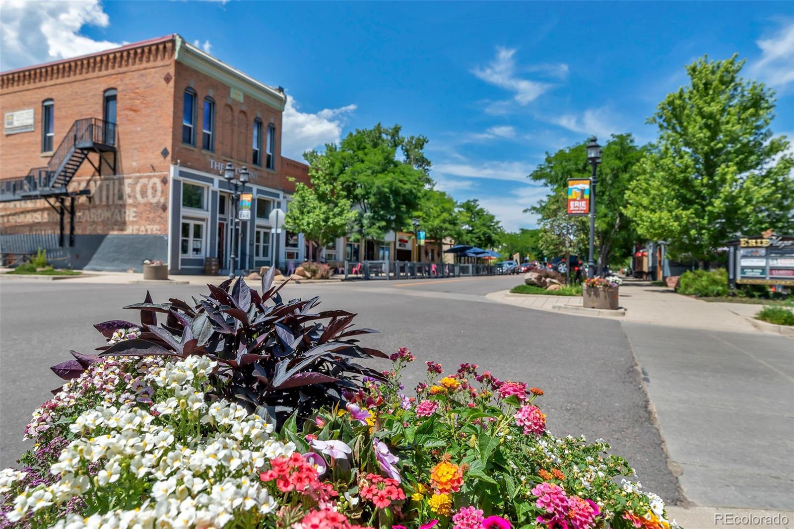 306 Rodden Drive Erie, CO 80516 - Photo 48 of 49 a view of street with flower on side of it