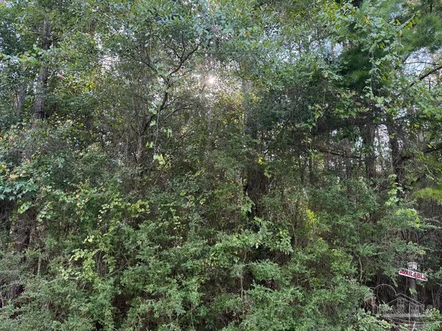an aerial view of residential house with outdoor space and trees all around