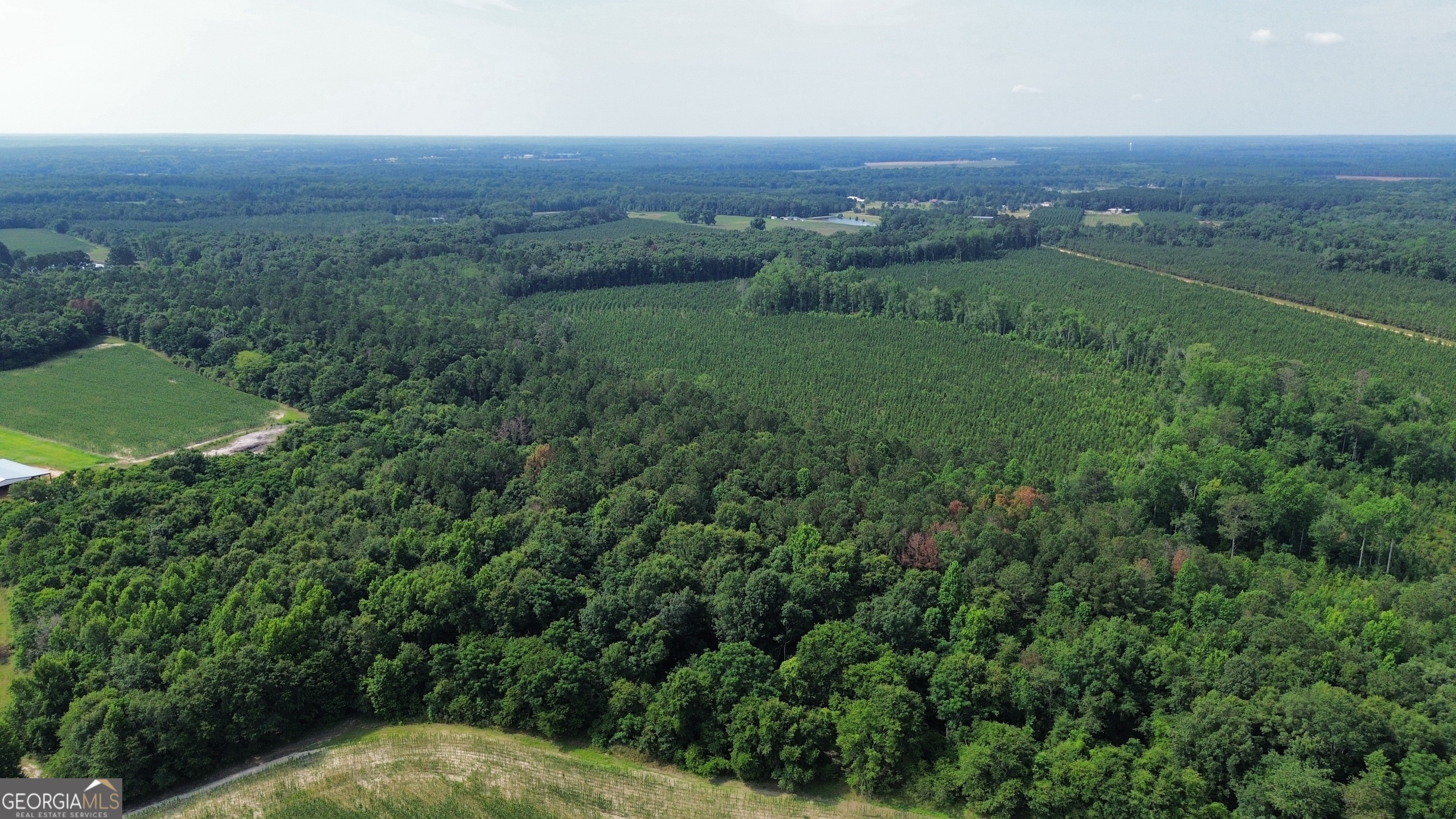 1665 Walke Dairy Road Dublin, GA 31021 - Photo 36 of 94