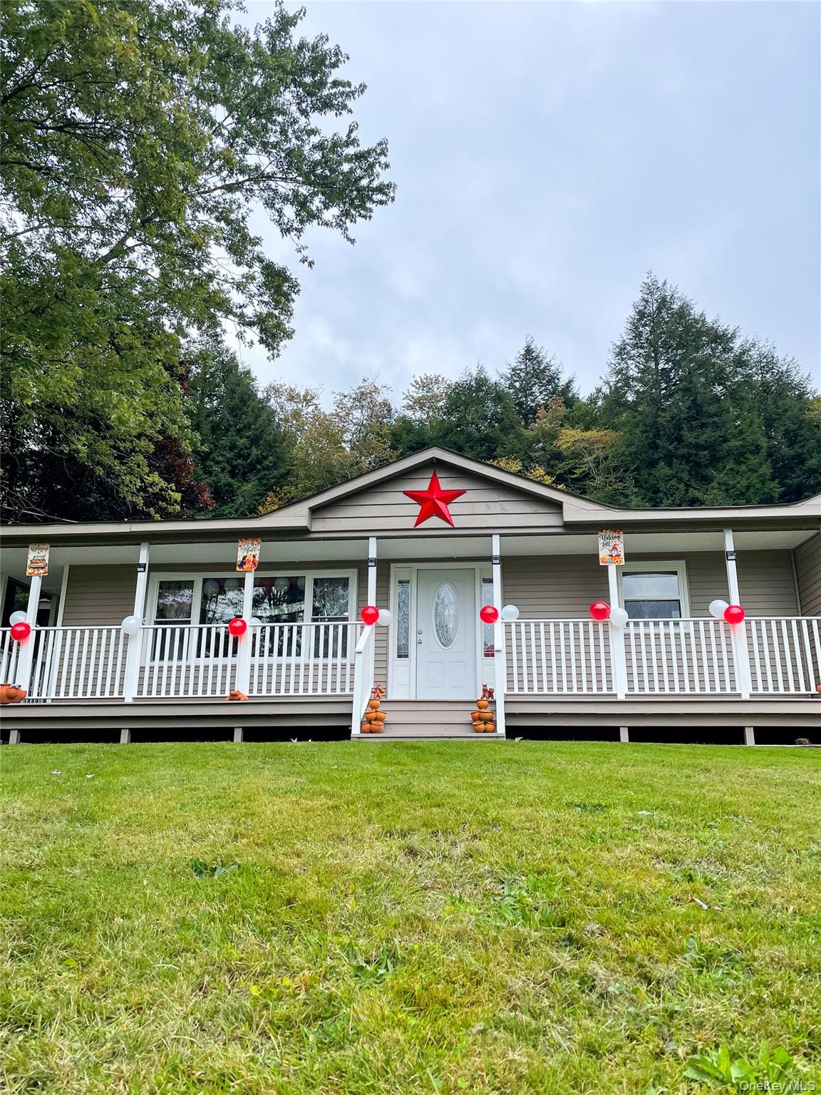 16 John Gray Road Livingston Manor, NY 12758 - Photo 2 of 27