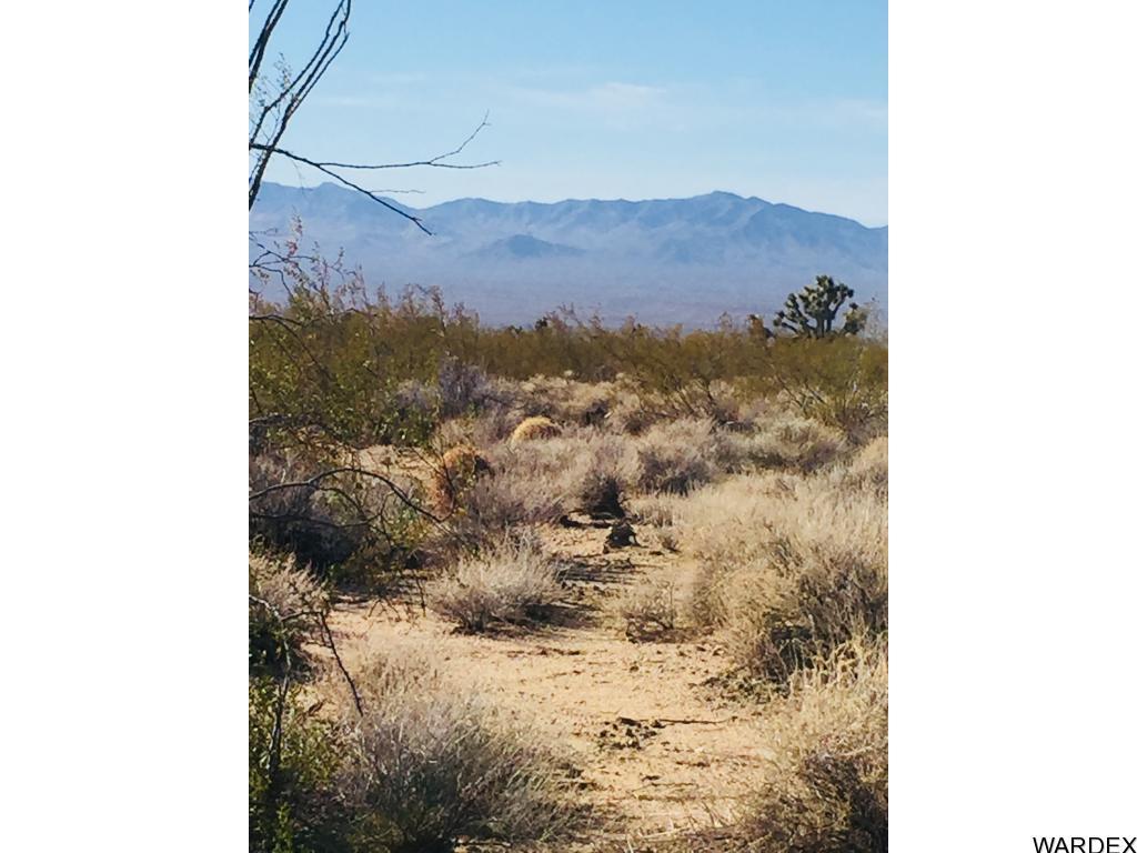 757 South Roy Rogers Road Yucca, AZ 86438 - Photo 2 of 8 Additional Photo