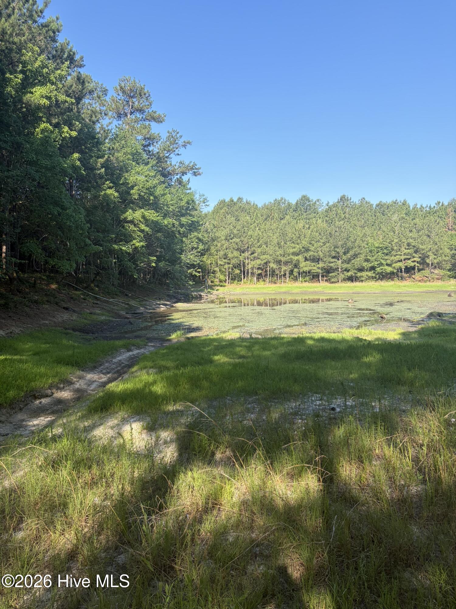 Tbd Jones Spring Church Road Ellerbe, NC 28338 - Photo 2 of 29