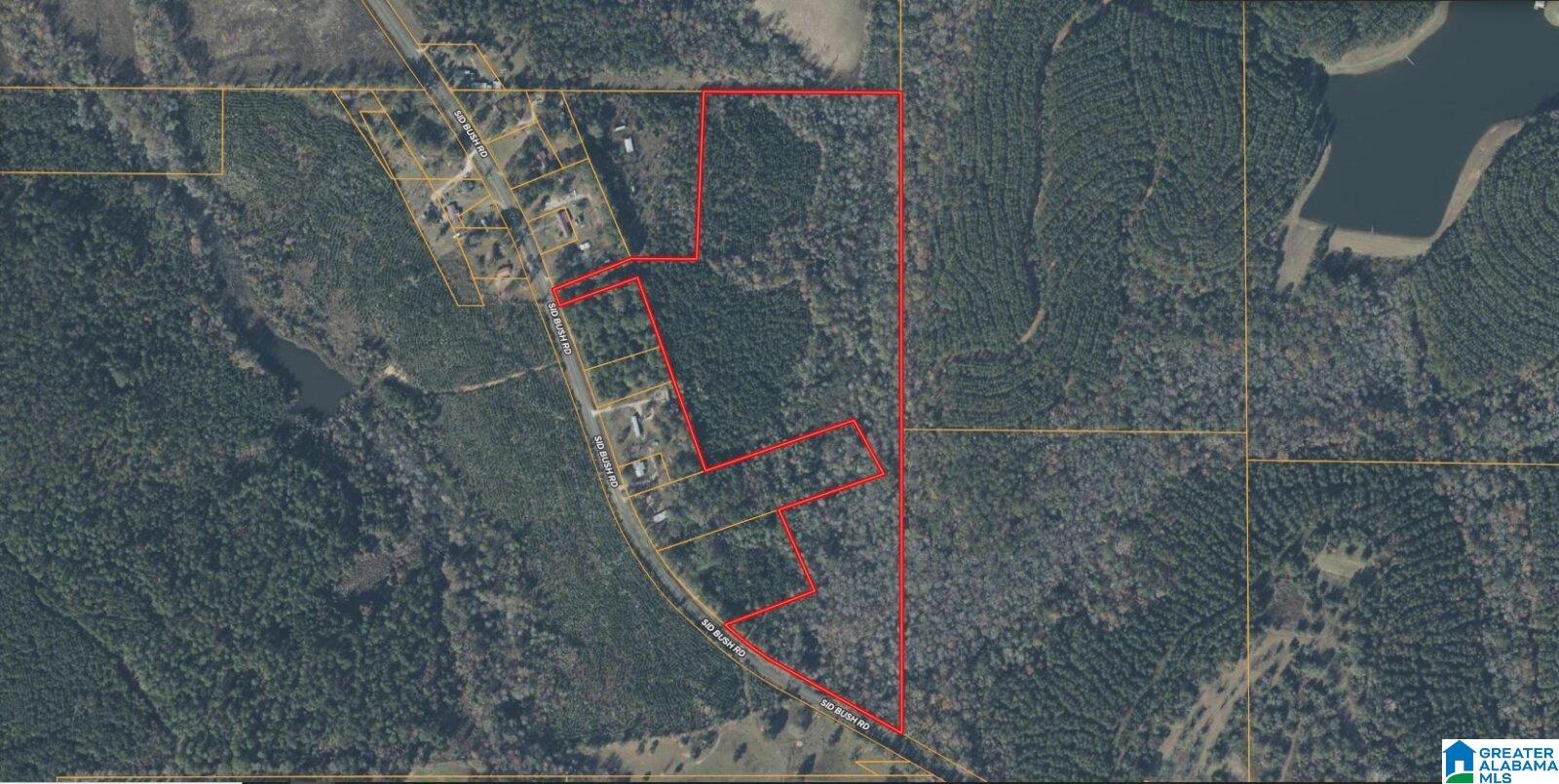 0 Sid Bush Road, Unit X Clayton, AL 36016 - Photo 1 of 1