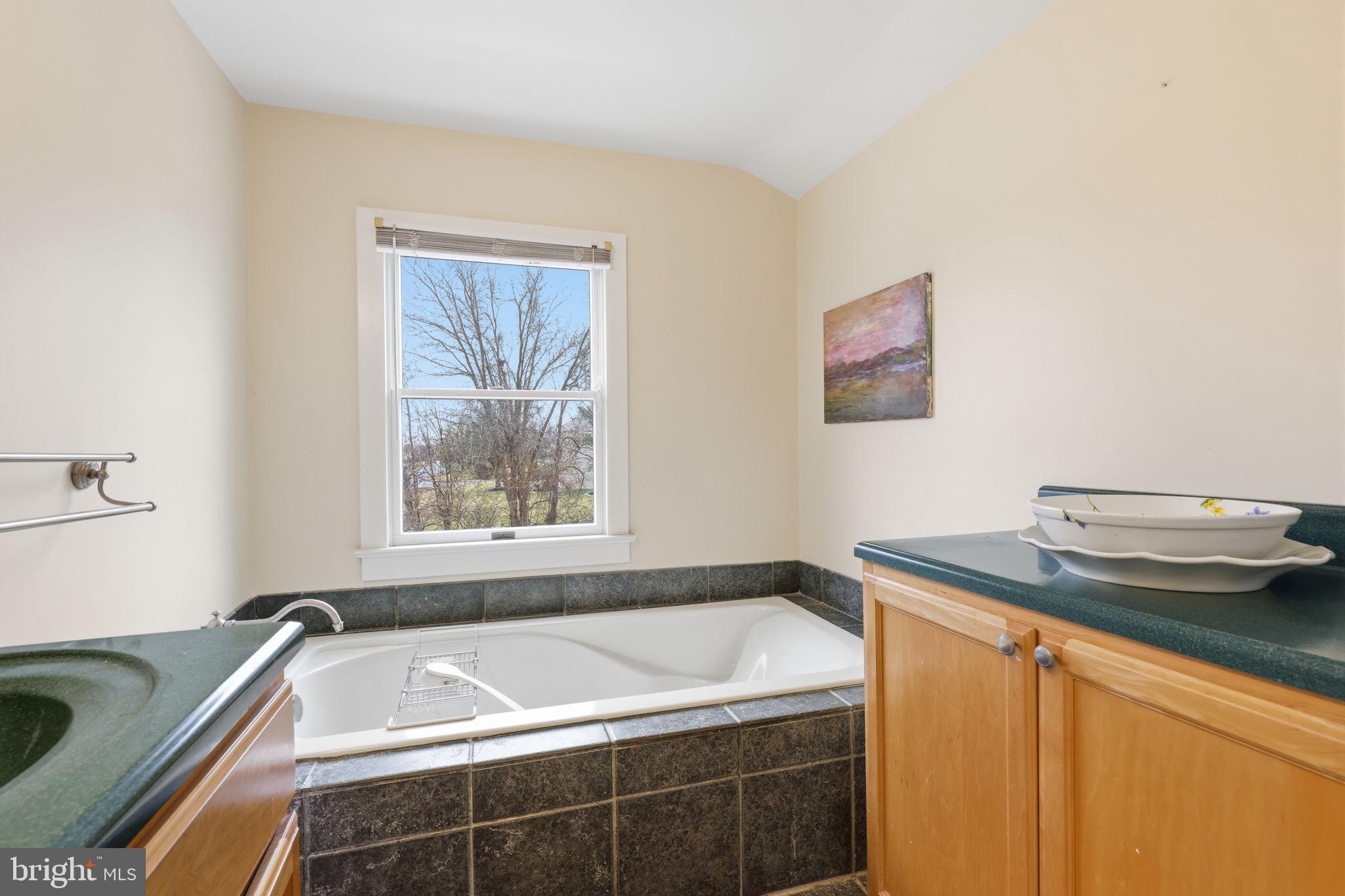 2293 Meetinghouse Road Jamison, PA 18929 - Photo 32 of 47 a bath tub sitting next to a window