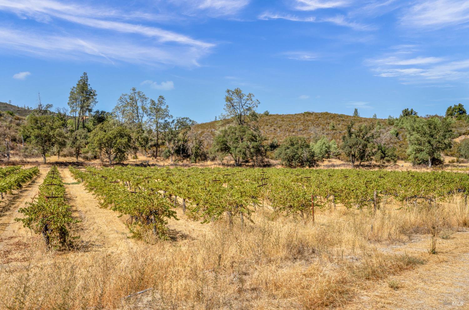 500 Old Long Valley Road Clearlake Oaks, CA 95423 - Photo 38 of 83