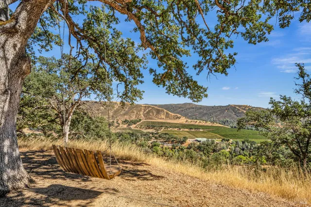 a view of a yard with an trees