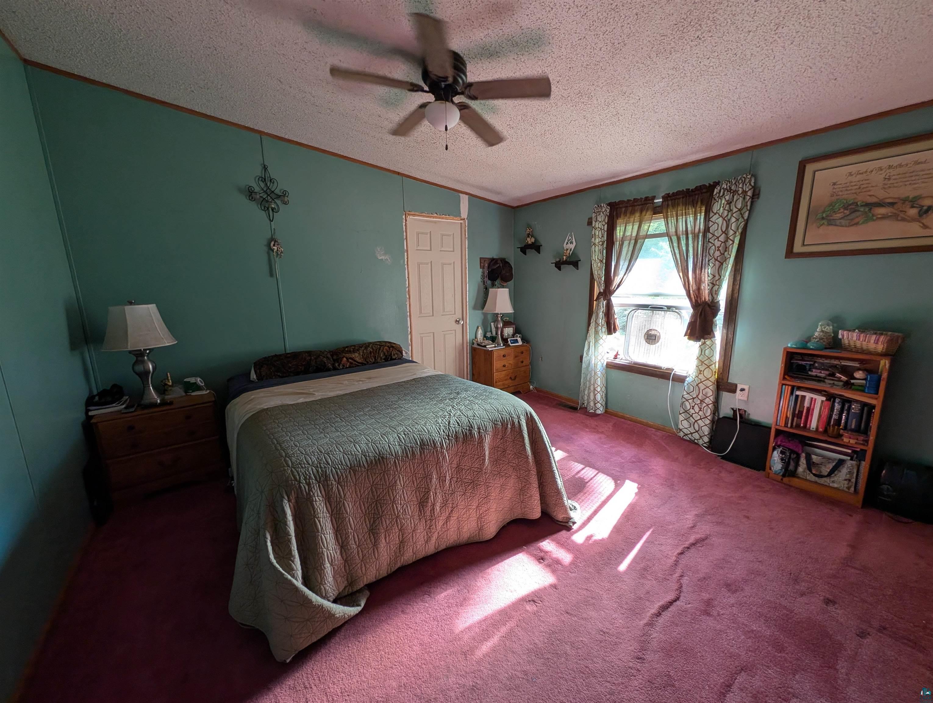 53085 Dupuis Road Sandstone, MN 55072 - Photo 22 of 48 Ceiling fan with integrated lighting, window with natural light, textured ceiling, solid panel interior door, and panel walls