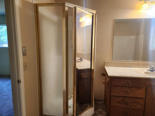 a bathroom with a sink a mirror and a shower
